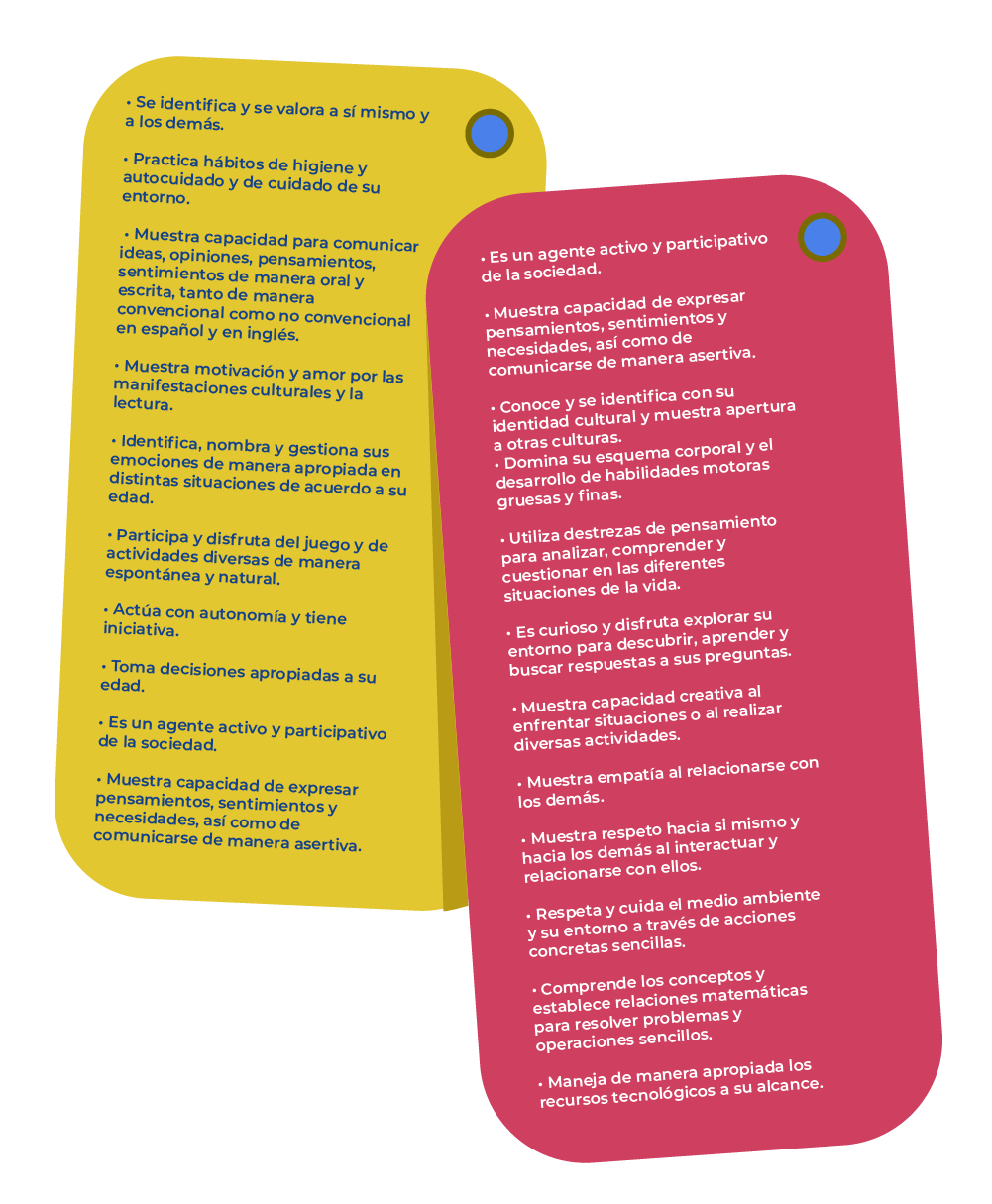 Perfil del egresado_Mesa de trabajo 1 copy